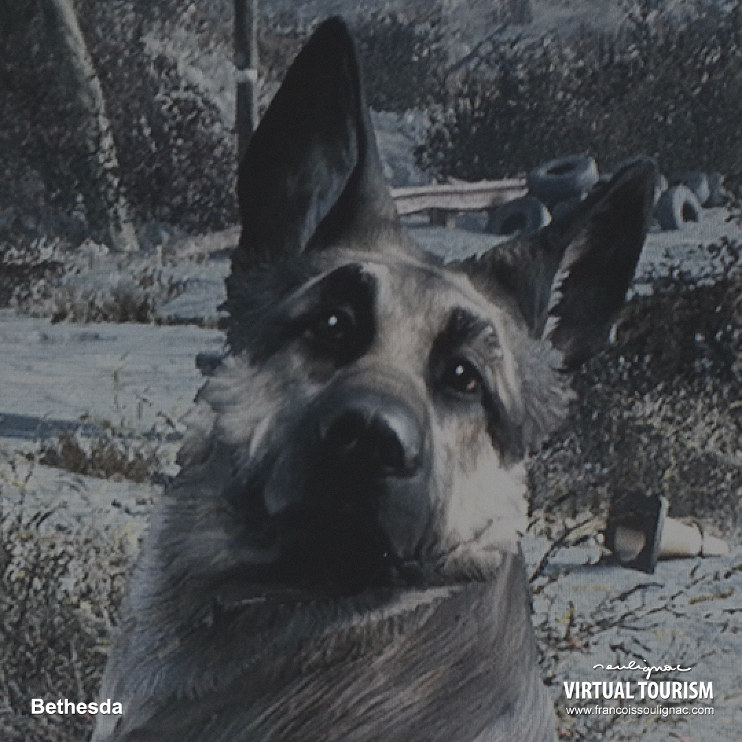 Virtual Tourism Boston, Details, In-game photography Fallout 4 - © Bethesda Softworks - François Soulignac