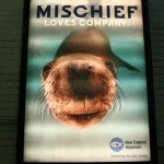 Boston Graphic Design, New England Aquarium adversiting campain cover subway, Mischief Loves Company