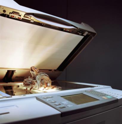 IMAGE BANK FAIL Two stuffed chipmunks in mating position on top of photocopier (c) MA Reynolds