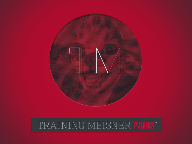 Website for acting workshops : Training Meisner Paris