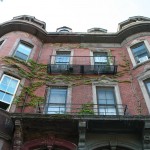 Boston Architecture - Ivy on the Wall