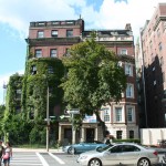 Boston Architecture - Ivy on the Wall