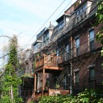 Boston Architecture - Ivy on the Wall