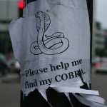 Boston Street Art - Please help me find my COBRA