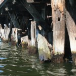 Francois Soulignac - Boston Charles River Basin by Kayak