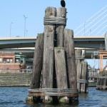 Francois Soulignac - Boston Charles River Basin by Kayak