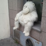 Sad things on the Streets of Paris, Gros singe en peluche blanche perdu abandonné - Photo : Xavier H.