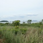 Francois Soulignac - Boston view from Lovells Island