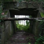 Boston Harbor - Lovells Island - Fort Standish