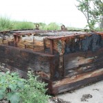 Francois Soulignac - Lovells Island - Piece of wood on the beach