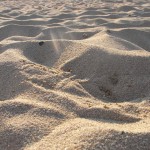 Francois Soulignac - Sand on the beach, Barcelona, Spain